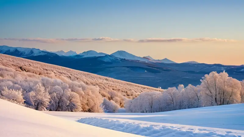 Un paisaje invernal sereno y contrastante, cubierto de nieve, con huellas en la nieve y un cielo azul claro