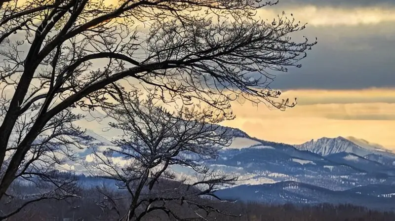 Un paisaje sombrío y húmedo se presenta con nubes oscuras