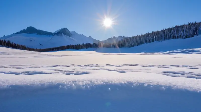 Un vasto y prístino campo de nieve brilla bajo el sol