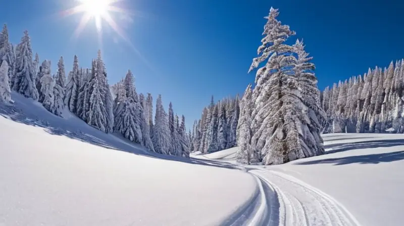 Esquidores en colorido equipo descienden por laderas nevadas bajo un sol brillante