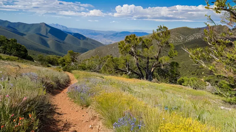 El majestuoso pico Moncayo ofrece un paisaje de montañas, valles verdes, senderos para caminatas y una rica diversidad de flora