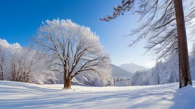 Un paisaje invernal sereno con nieve suave