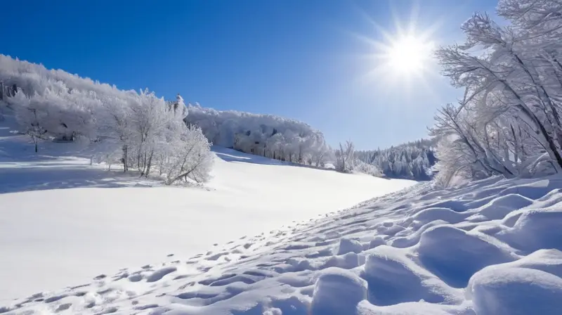 Un paisaje invernal sereno cubierto de nieve suave y brillante, con huellas y sombras que contrastan en un cielo azul